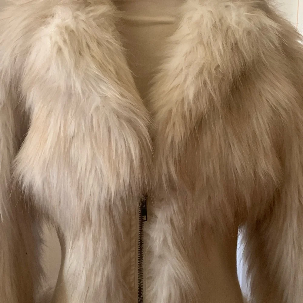 Jacket - Picture 2 of 5